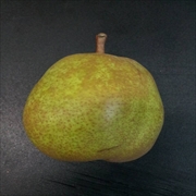 洋ナシの画像