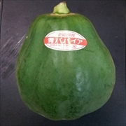 パパイヤ(青)の画像