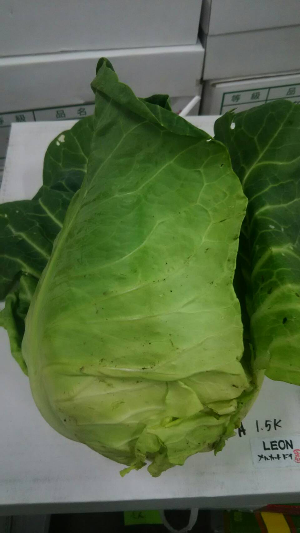 みさきキャベツの画像